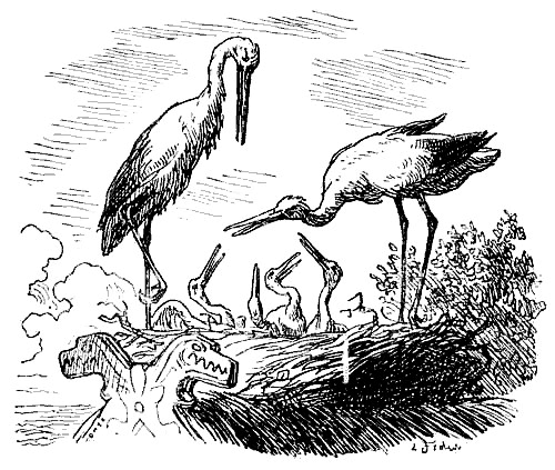 Дочь болотного царя - i_001.png