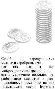 О ловкости и ее развитии - any2fbimgloader34.jpeg