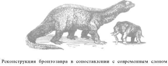 О ловкости и ее развитии - any2fbimgloader60.jpeg