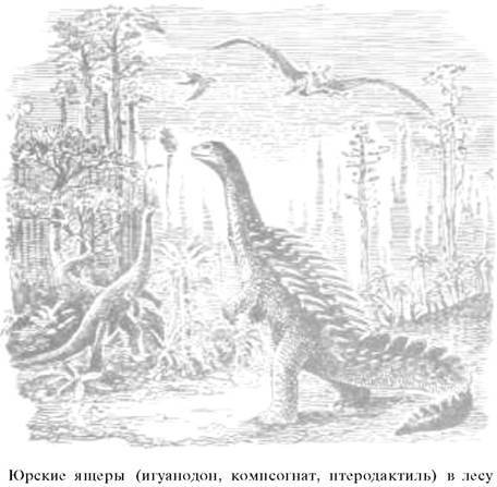 О ловкости и ее развитии - any2fbimgloader62.jpeg