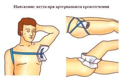 Энциклопедия «Биология» (без иллюстраций) - k_076.jpg