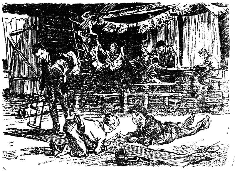 Бронзовая птица - i010a.png