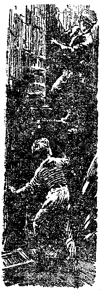 Бронзовая птица - i022.png