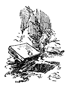 Бронзовая птица - i027.png