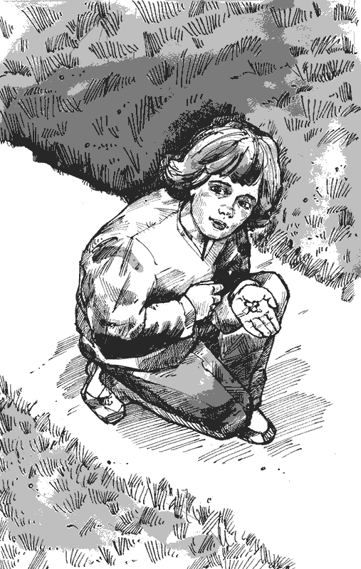 Полуостров сокровищ - imgpol4.png