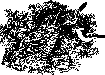 Рассказы и сказки - i_009.png