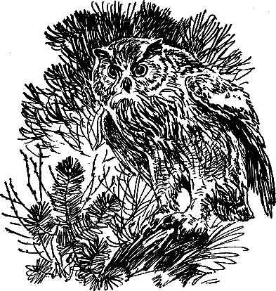 Рассказы и сказки - i_033.png