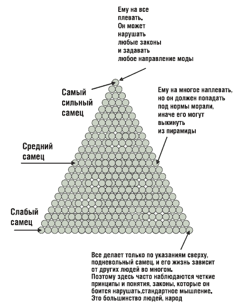 Новая жжизнь без трусов - i_002.png