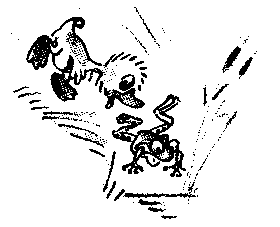 Знаменитый утенок Тим - image4.png