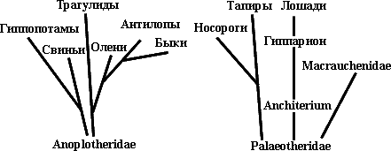 Тайная доктрина. Том II - i_60.png