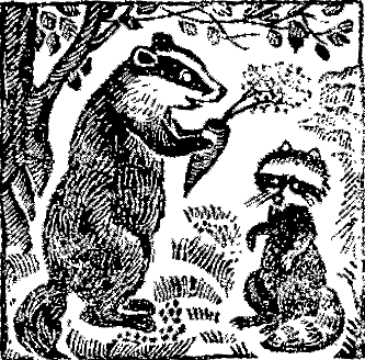 Сказки черепахи Кири-Бум - i_012.png