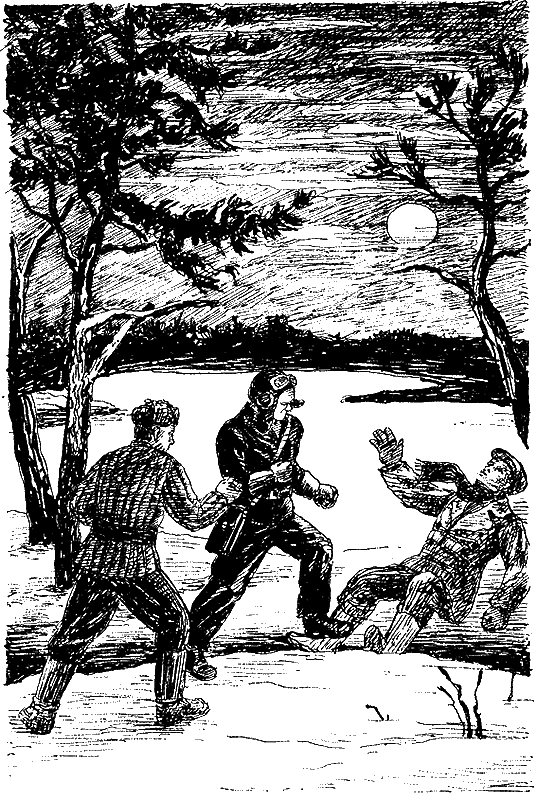 Шпионский роман - i_007.png