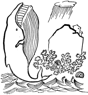 Откуда у кита такая глотка - i_004.png