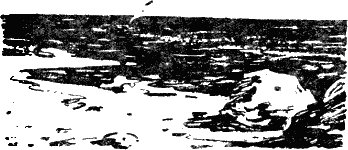 Великая дуга - i_057.png