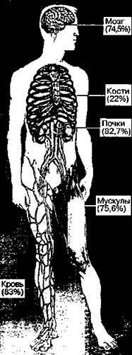 Шокирующая правда о воде и соли - any2fbimgloader1.jpeg
