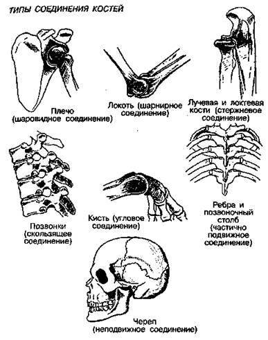 Шокирующая правда о воде и соли - any2fbimgloader11.jpeg