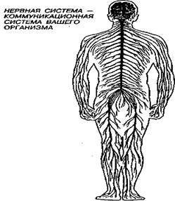 Шокирующая правда о воде и соли - any2fbimgloader26.jpeg