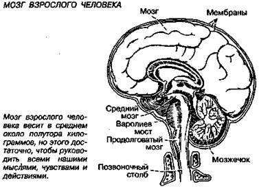 Шокирующая правда о воде и соли - any2fbimgloader29.jpeg