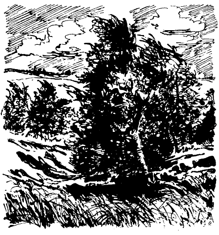 Путешественники в третье тысячелетие - i_004.png