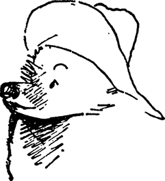 Медвежонок Паддингтон занят делом - i_005.png