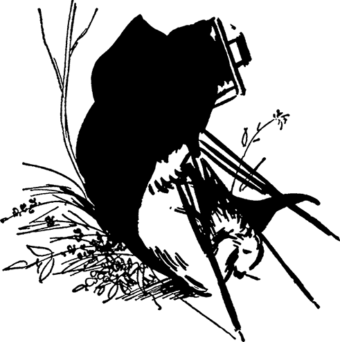 Медвежонок Паддингтон. Новые приключения - i_005.png