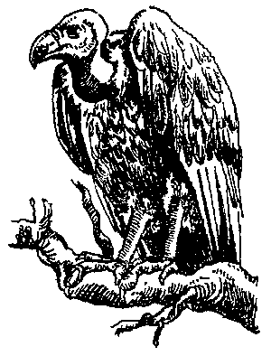 Грот афаліны - i_024.png