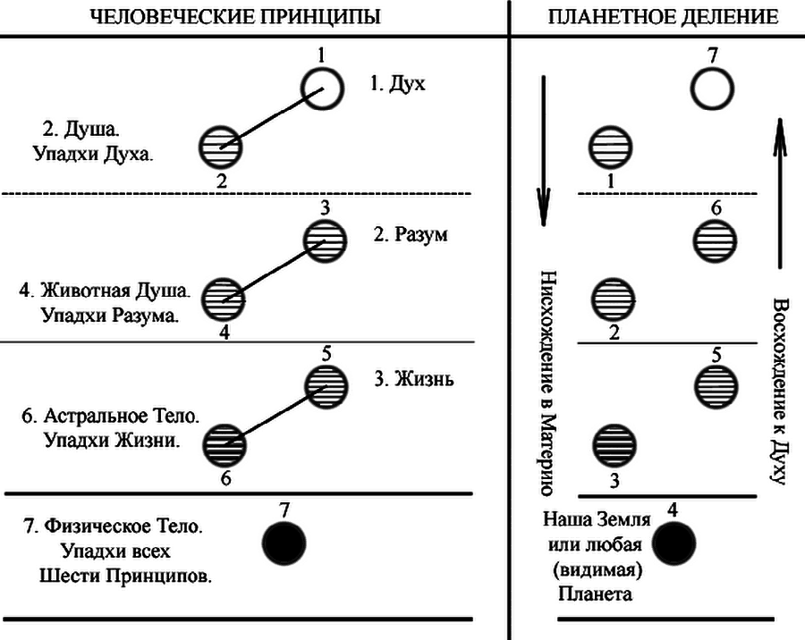 Тайная доктрина. Космогенезис. Антропогенезис - _16.png