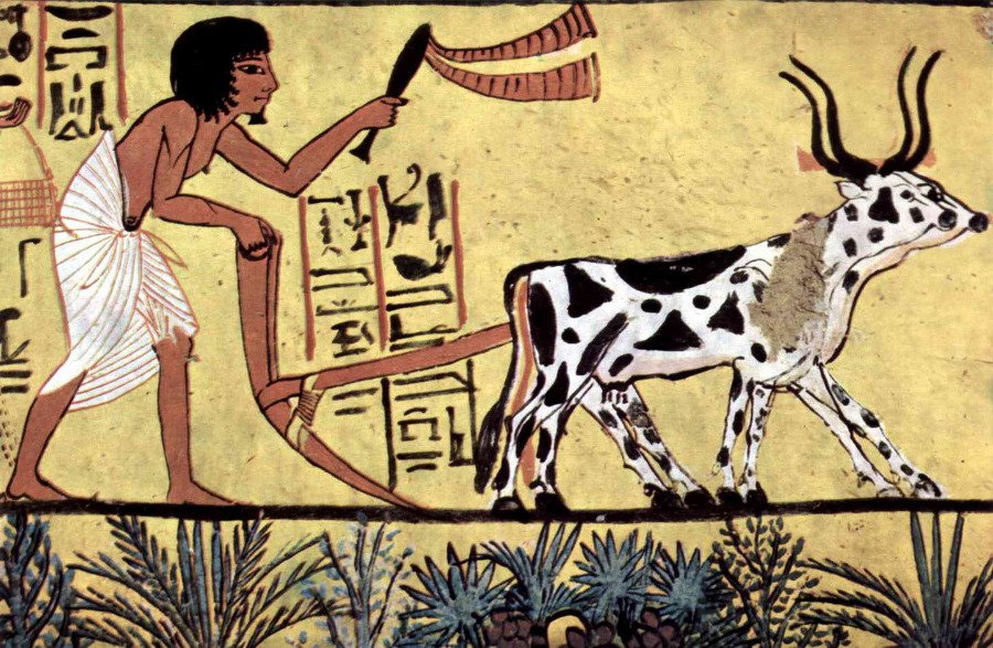 Sapiens. Краткая история человечества - i_025.jpg