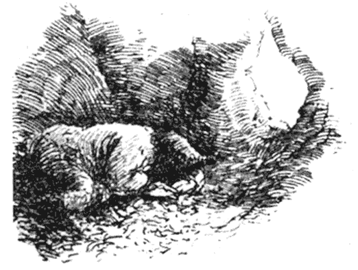 Ветер в ивах - i_020.png
