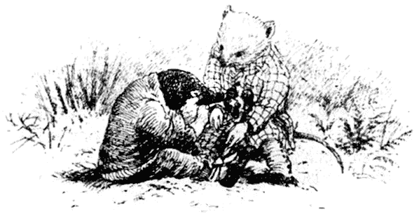 Ветер в ивах - i_022.png