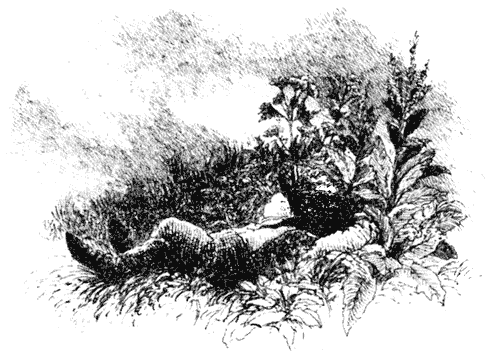 Ветер в ивах - i_044.png