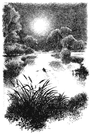 Ветер в ивах - i_045.png