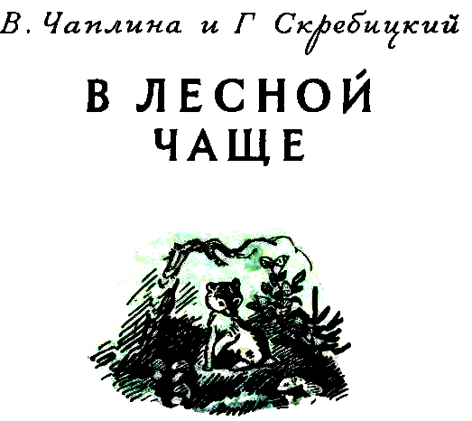 В лесной чаще - pic_2.png