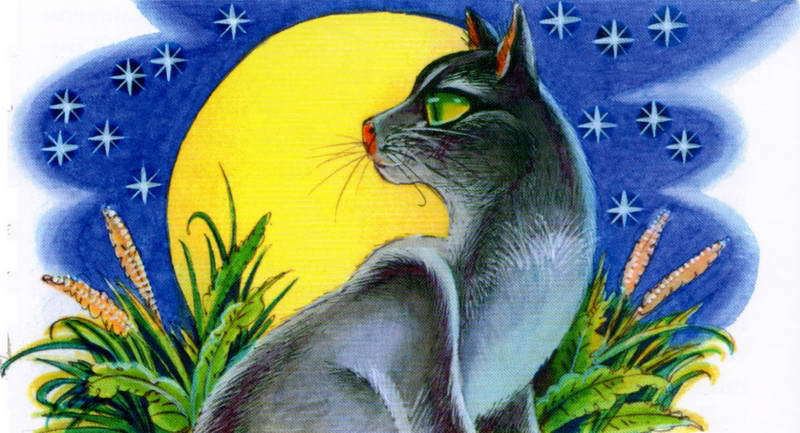 Память племен. Путеводитель по серии «Коты-воители» - pic_65.jpg