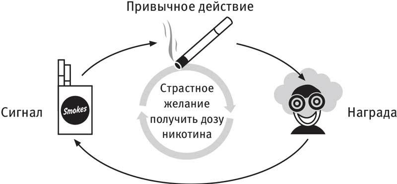 Власть привычки. Почему мы живем и работаем именно так, а не иначе - i_015.jpg