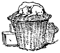 Трое в лодке, не считая собаки - i_15.png