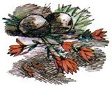 Колдовской сапфир - i_045.jpg