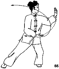 Тайцзицюань. Искусство гармонии и метод продления жизни - form09066.png