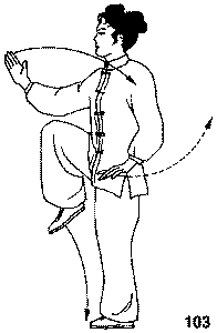Тайцзицюань. Искусство гармонии и метод продления жизни - form16103.png
