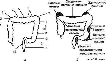 Очищение организма и здоровье - i07.jpg