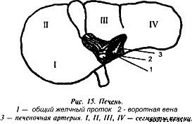 Очищение организма и здоровье - i15.jpg