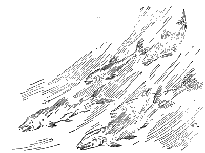 Всемирный следопыт, 1928 № 12 - i_032.png