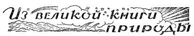 Всемирный следопыт, 1928 № 10 - i_047.png