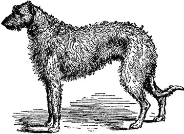 Великие охотники и рыболовы - i_024.png
