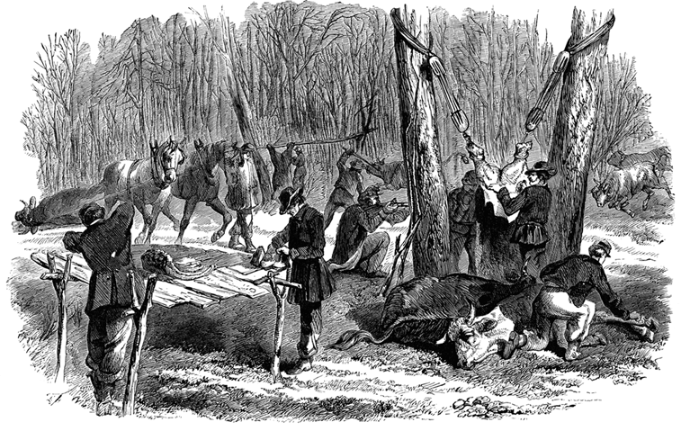 Великие охотники и рыболовы - i_020.png
