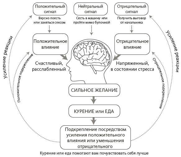 Зависимый мозг. От курения до соцсетей: почему мы заводим вредные привычки и как от них избавиться - i_001.jpg