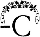 Святая ночь<br />(Сборник повестей и рассказов зарубежных писателей) - i_037.jpg