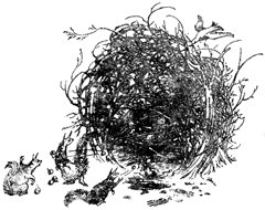 Племянник чародея (с иллюстрациями) - pic30.jpg