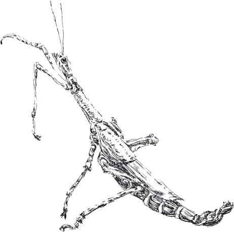 Золото скифов - i_018.png