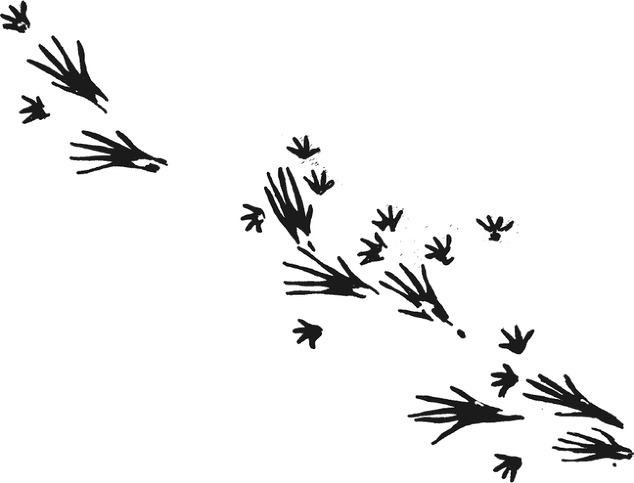 Крысявки. Крысиное житие в байках и картинках - i_008.png